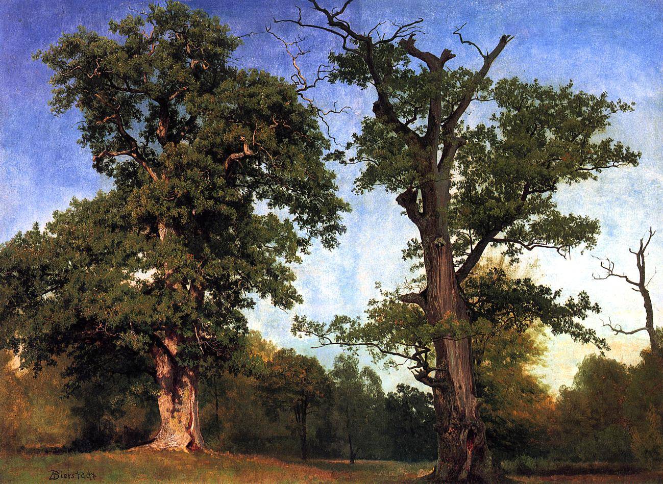 Pioneers of the Woods, by Albert Bierstadt (1858)