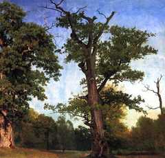 Pioneers of the Woods, by Albert Bierstadt (1858)