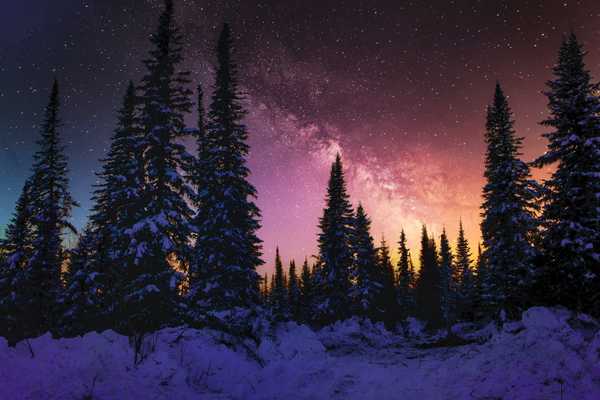 David Deutsch cosmic significance